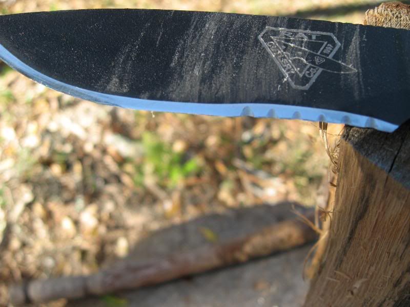 RC-4andF1012.jpg