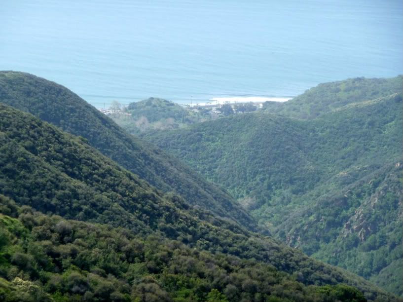 SoCal2011211.jpg