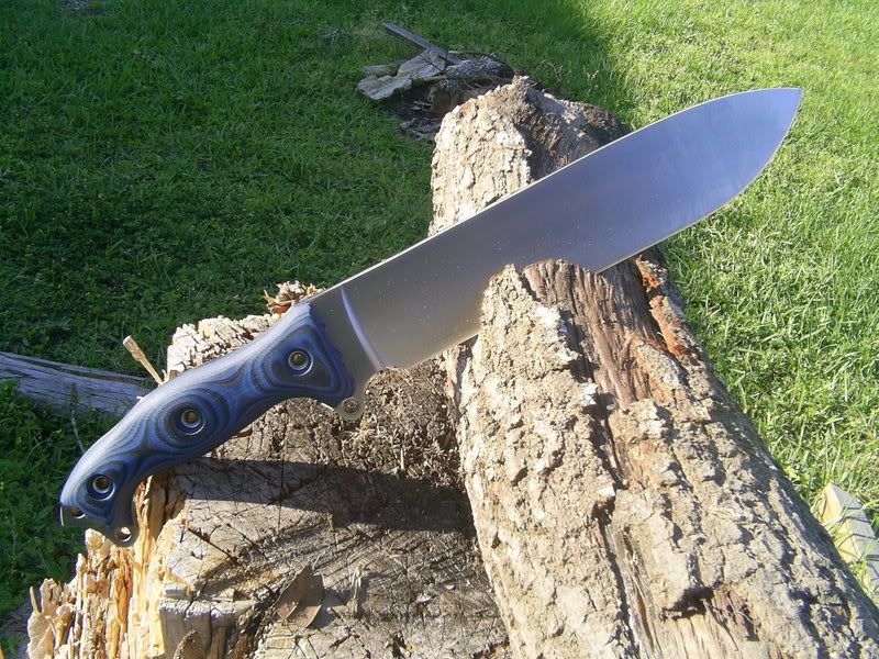 ebaypics503.jpg