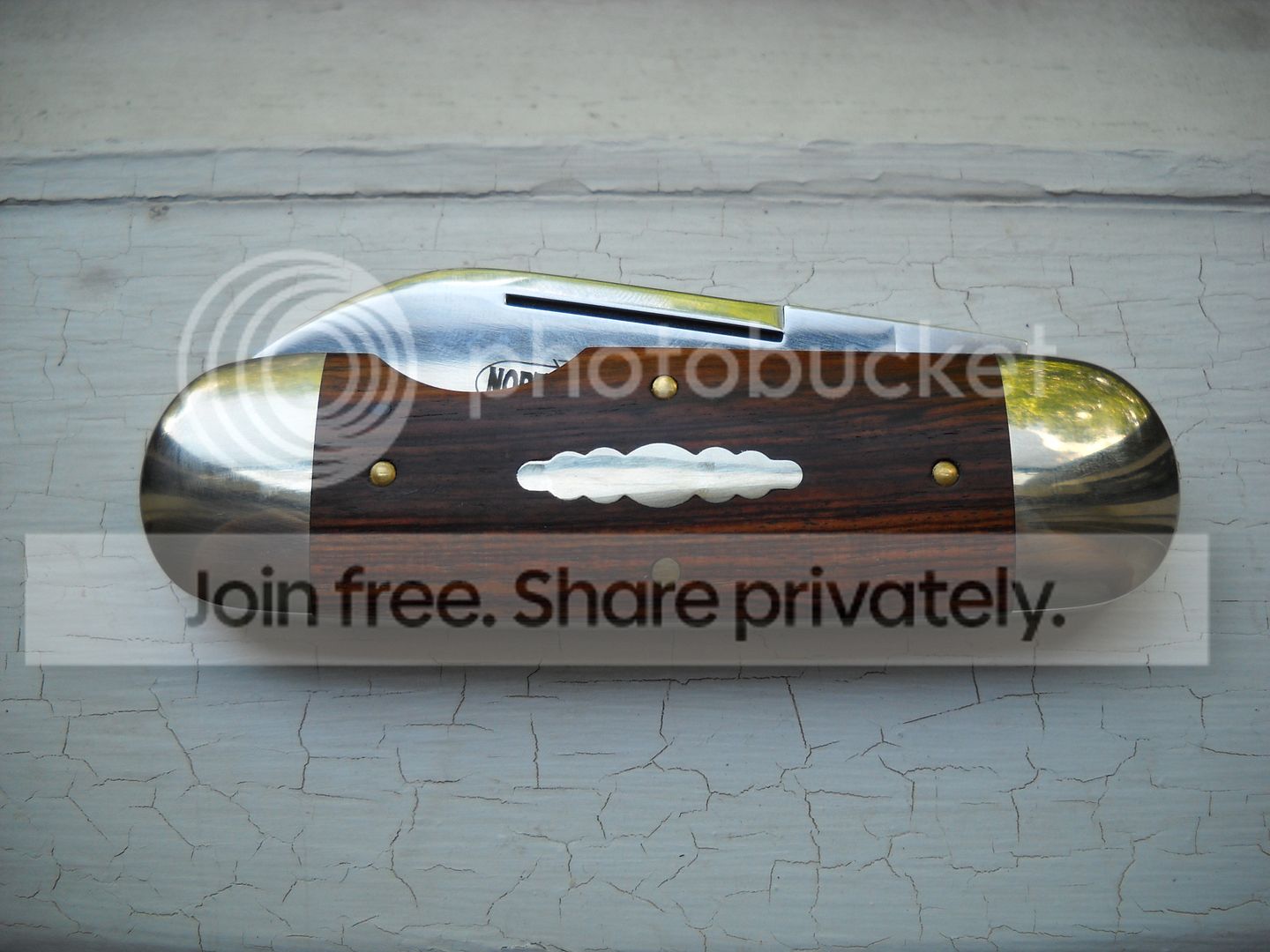 DSCN2684_zpsf9143e2c.jpg~original