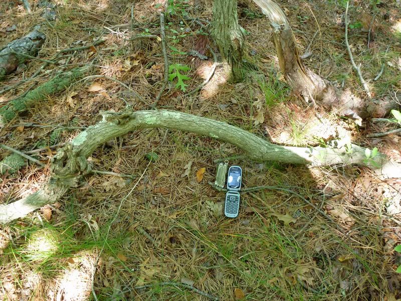 spoonwood2.jpg