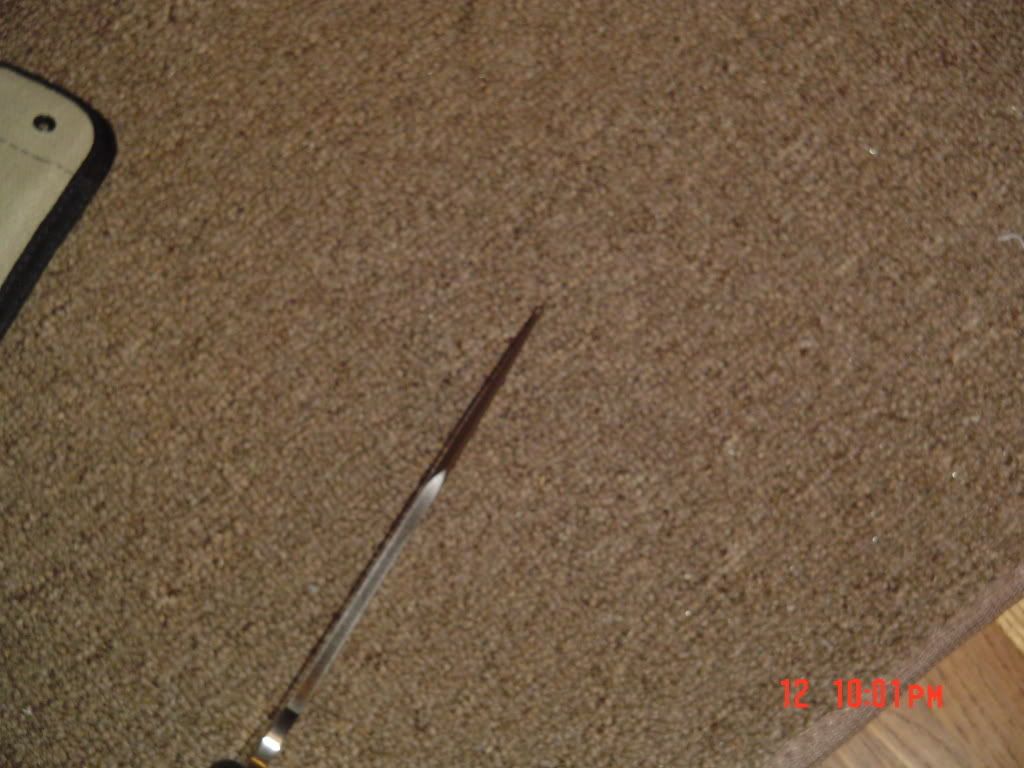 DSC03395.jpg