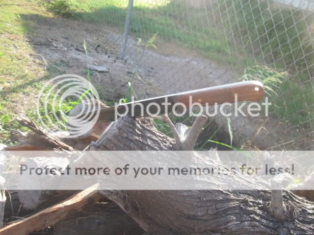 Picture387.jpg