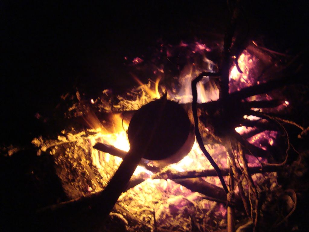 DSC05328.jpg