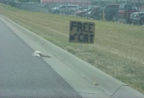 FreeCat.jpg