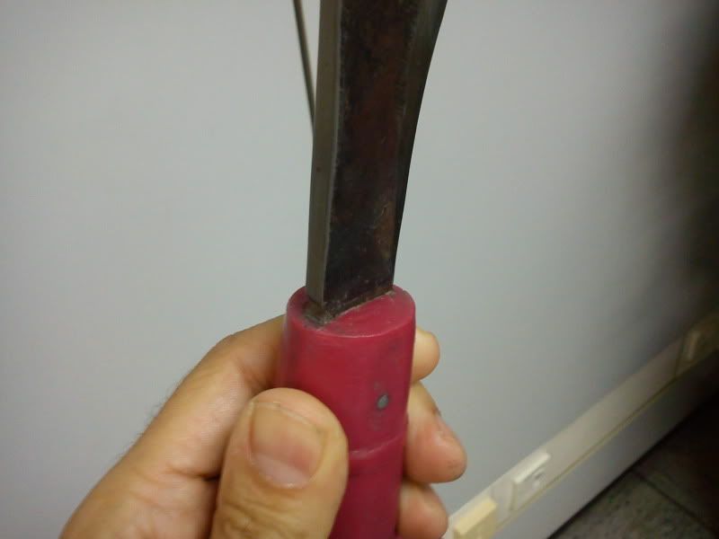 DSC00560-1.jpg