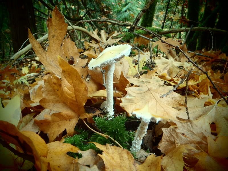 PB090001.jpg