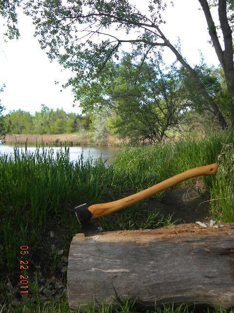 DSCN3694.jpg