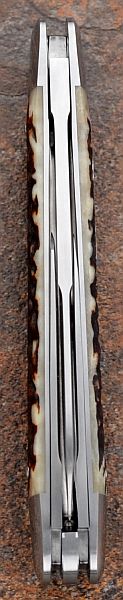 tbose-458staganglosaxonwhittler1-7.jpg
