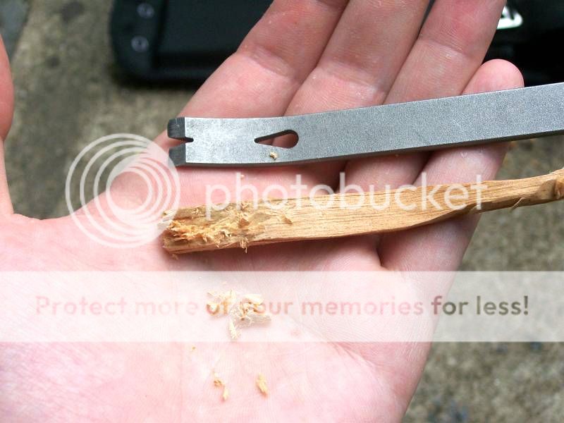fatwood13.jpg