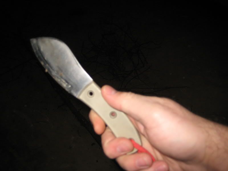002-7.jpg
