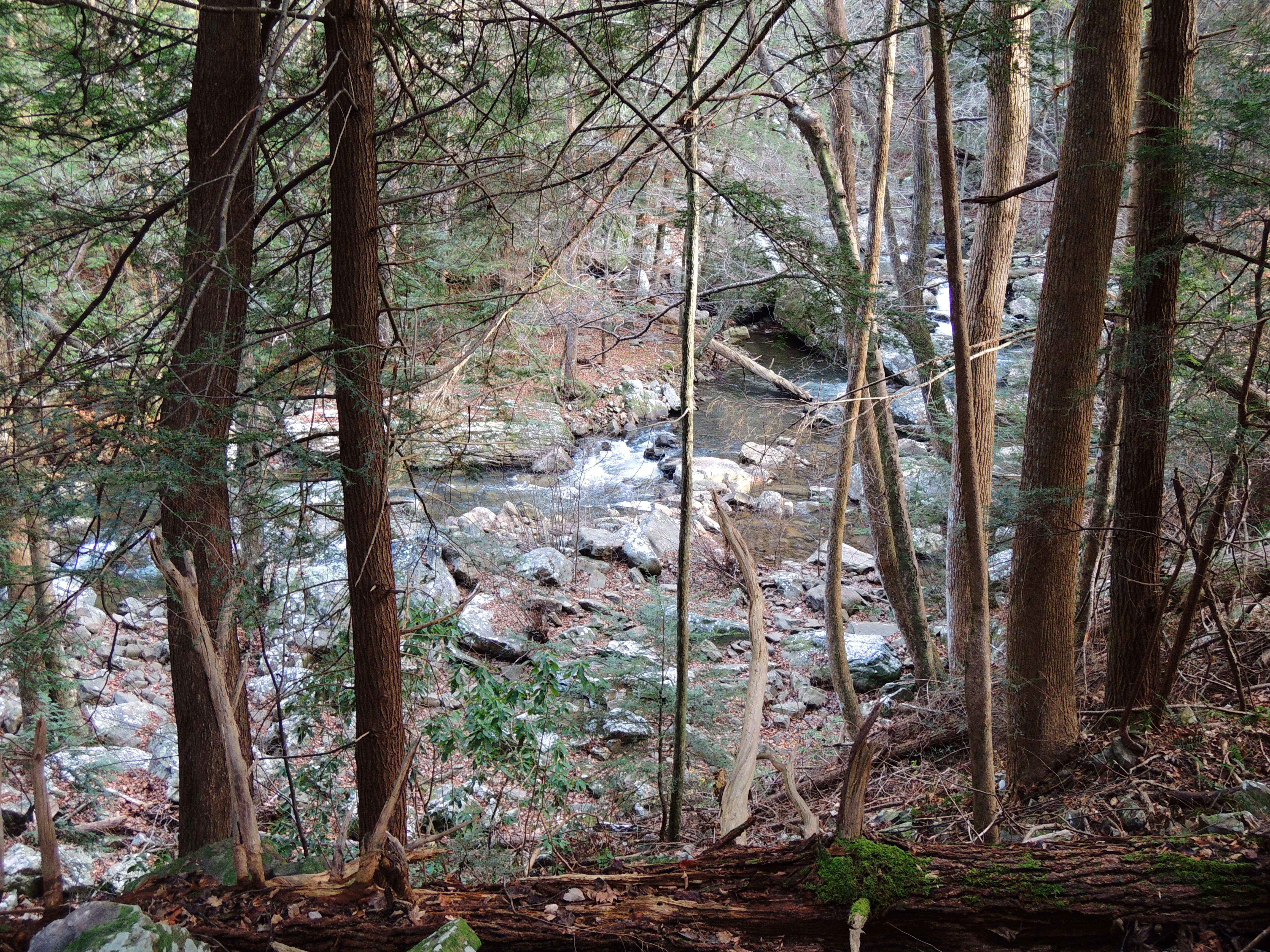 dscn4226r.jpg
