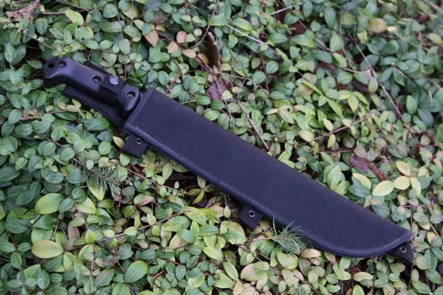Sheathed0.jpg