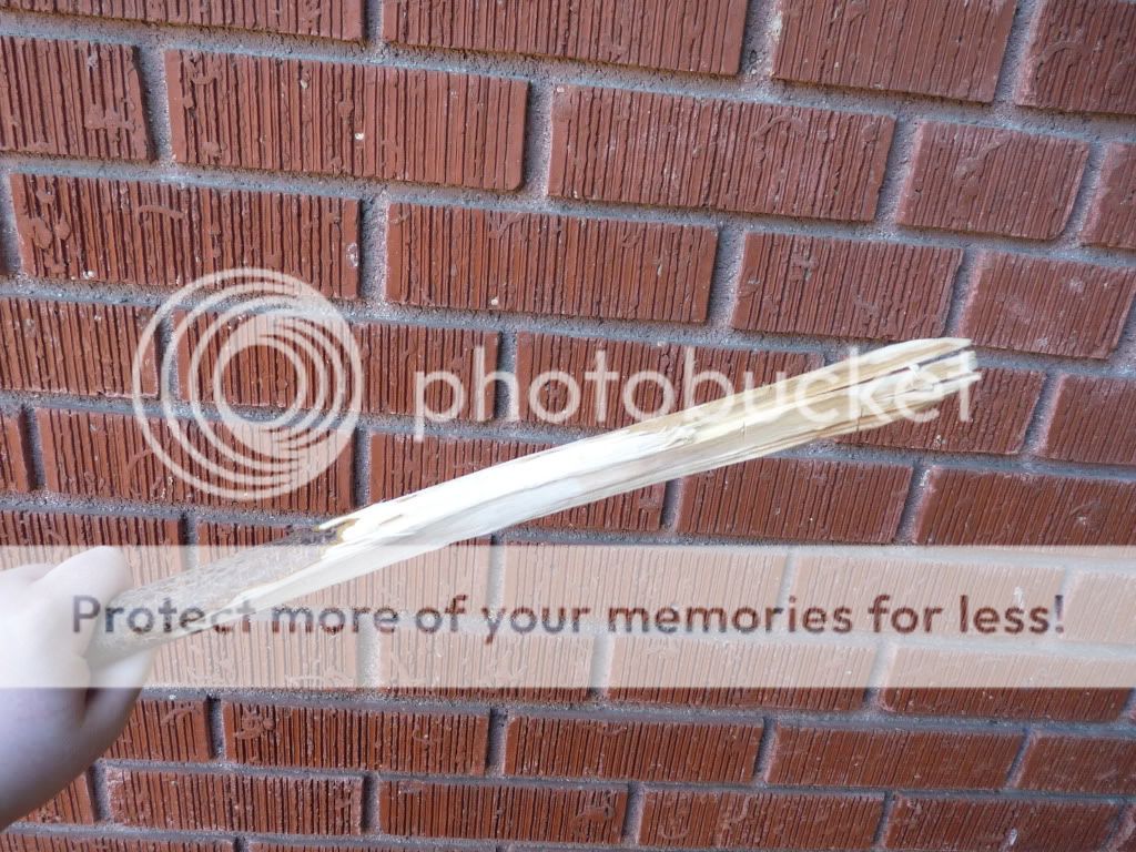 fork3.jpg
