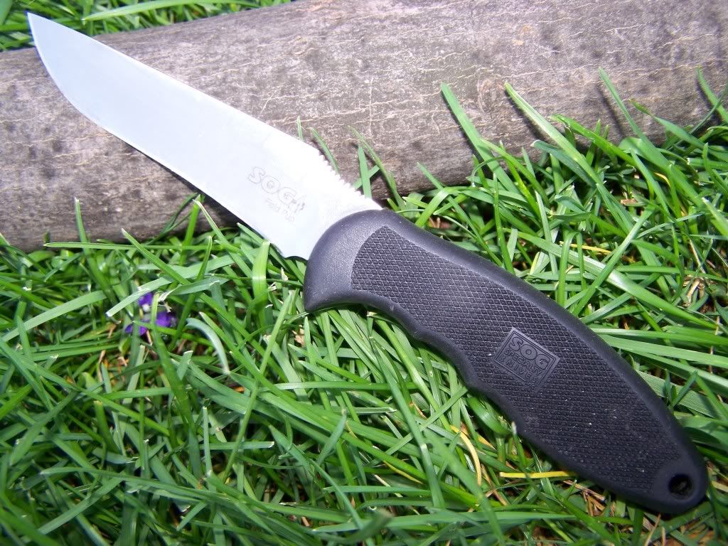 Fieldpup-1.jpg