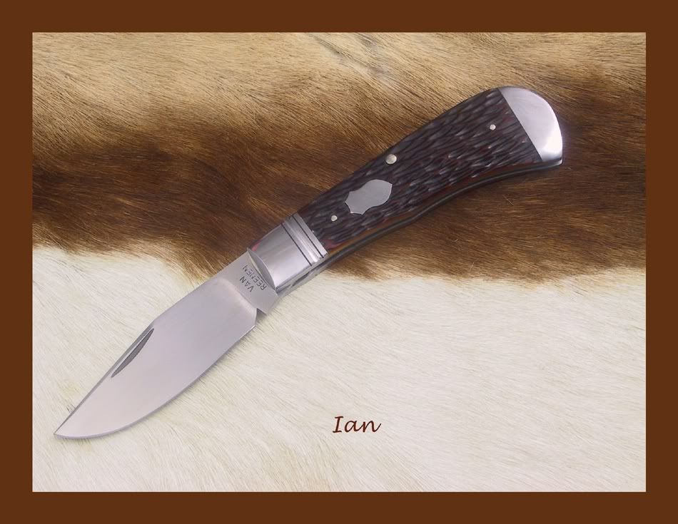saddlehorntrapper482010web.jpg