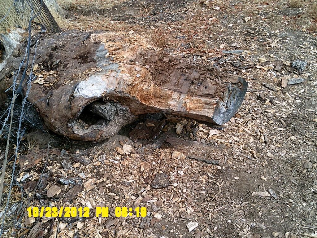 DSCF0007.jpg