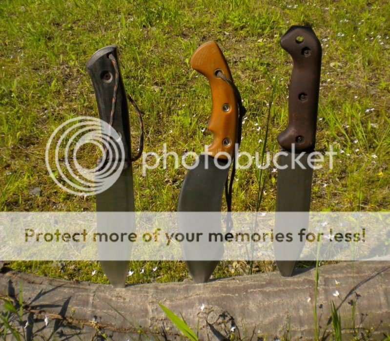 DSCN3122.jpg