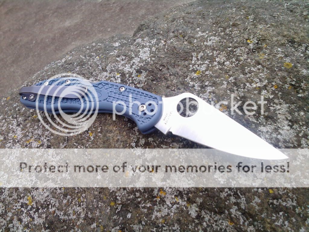 2011-01-05145743.jpg