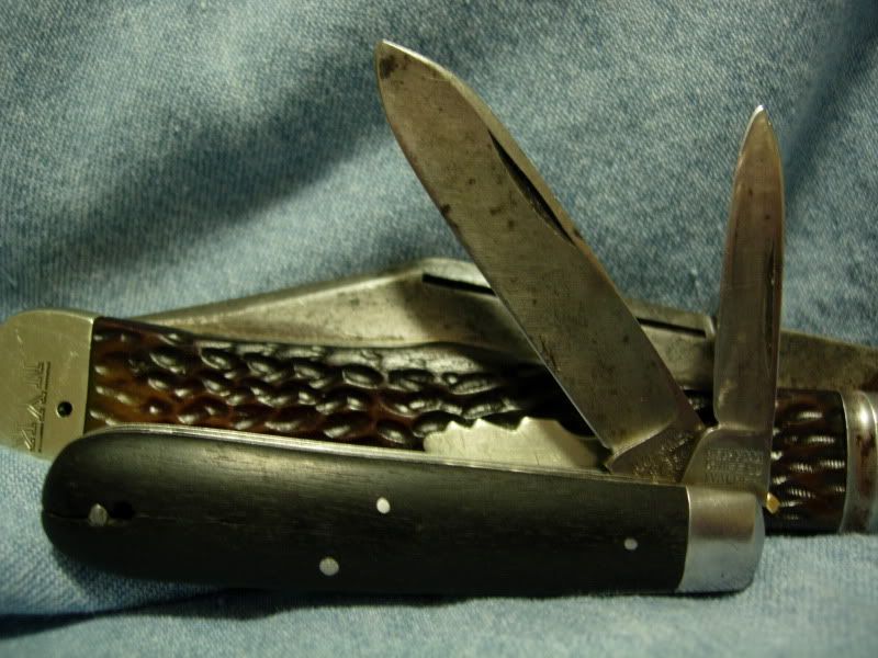 DSCN5924.jpg