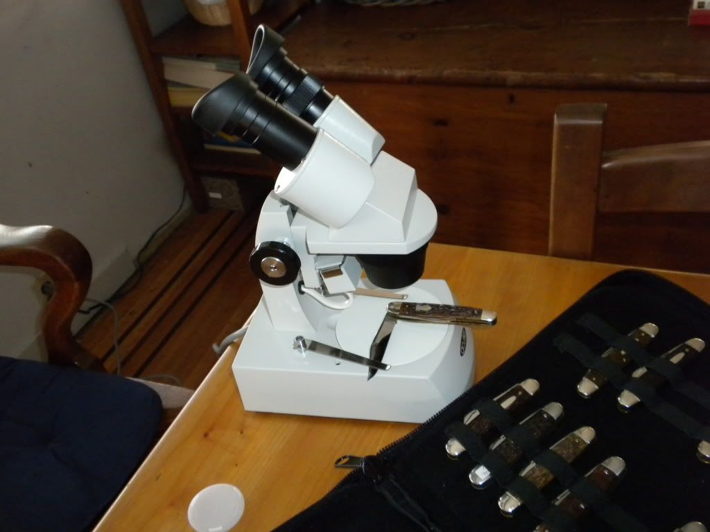 Microscope002.jpg