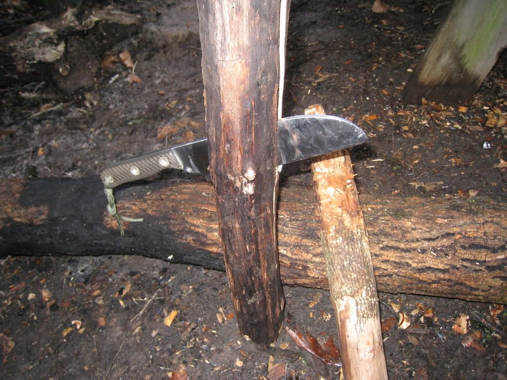 Picture023.jpg