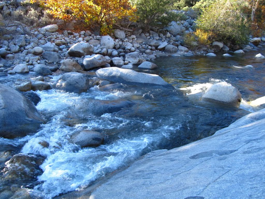 IMG_3467.jpg