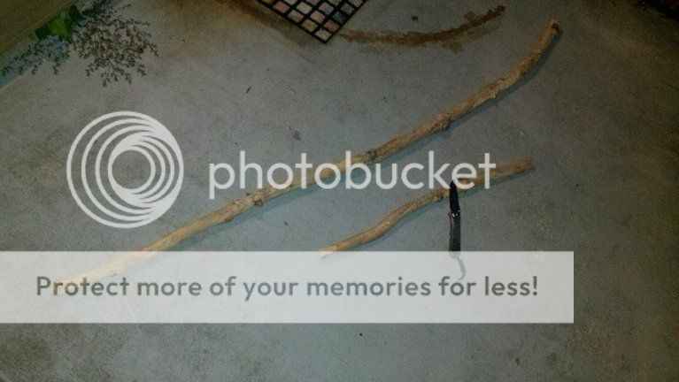photobucket-3314-1347501822375.jpg
