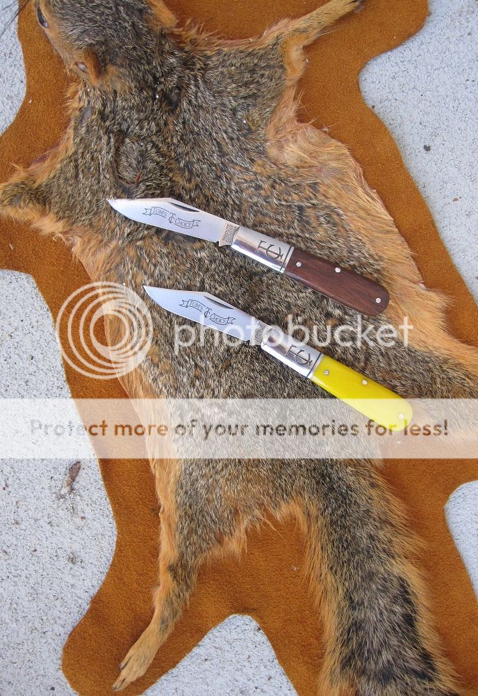 IMG_4215_zpszesj8335.jpg~original