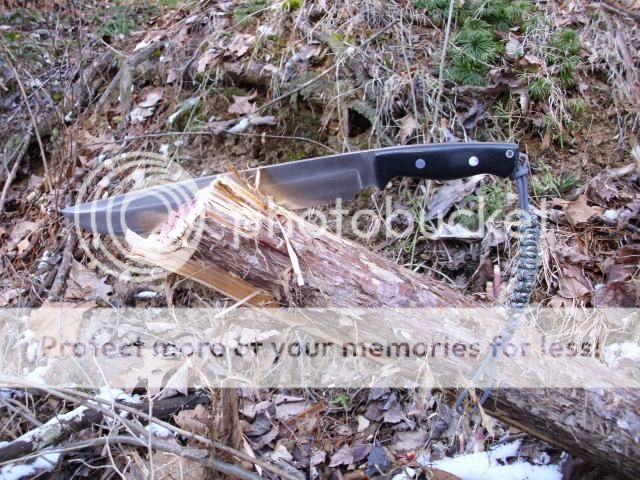 HPIM0769_zpsa61ac40a.jpg