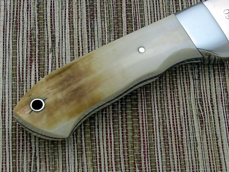 800BFTemboRightScale-1.jpg