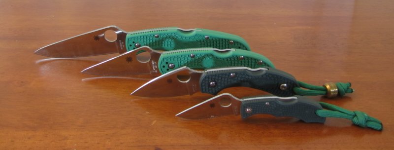 Endura_Delica_Dragonfly_Ladybug_800x304.jpg