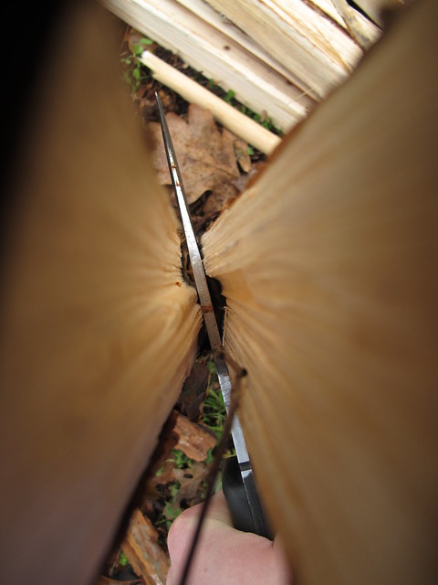 6501416597_841f0e8ce3_z.jpg