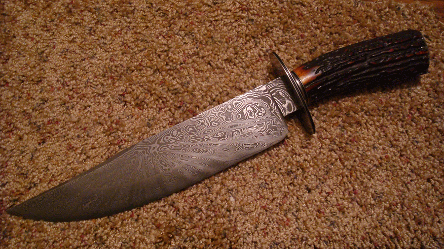 AmberStagBowie.gif