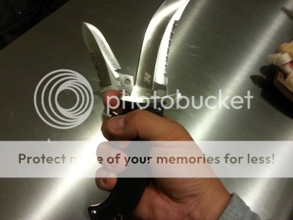 20130811_213956_zps3d366c78.jpg