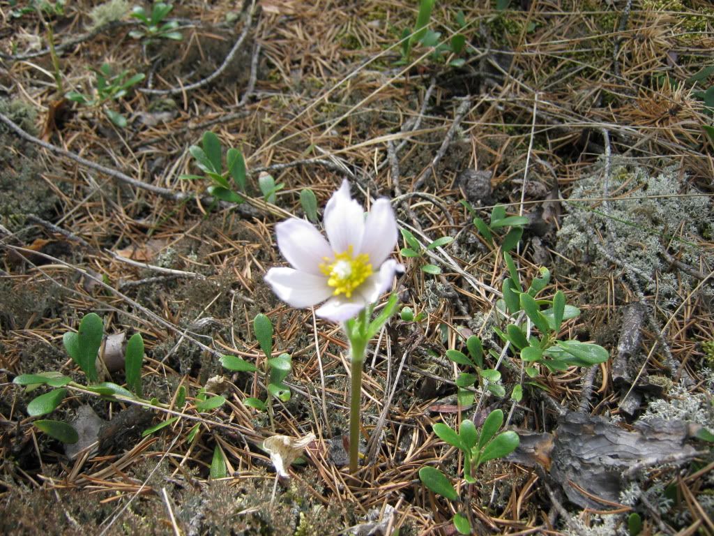 may-23-2010027.jpg