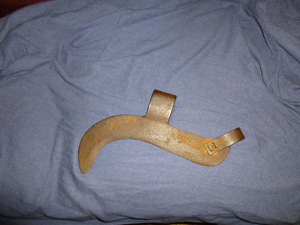 P1010004-M.jpg