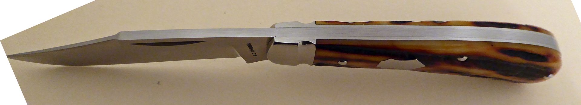 P1010056.jpg