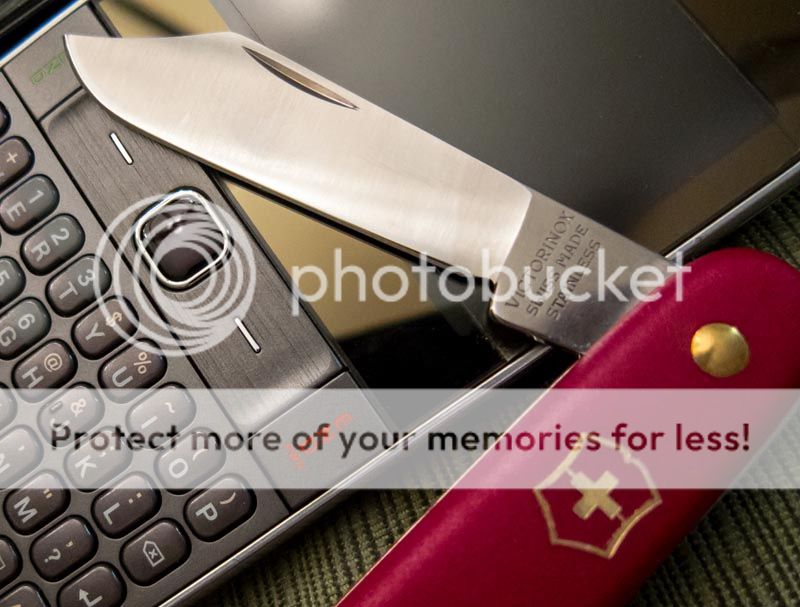 SAK_Day.jpg~original