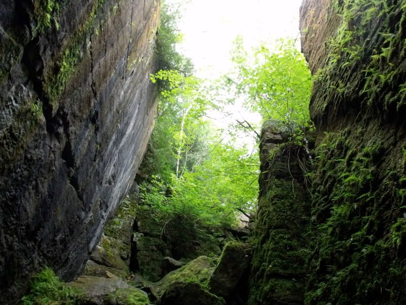 DSCF3514.jpg