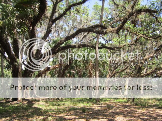 IMG_0169.jpg