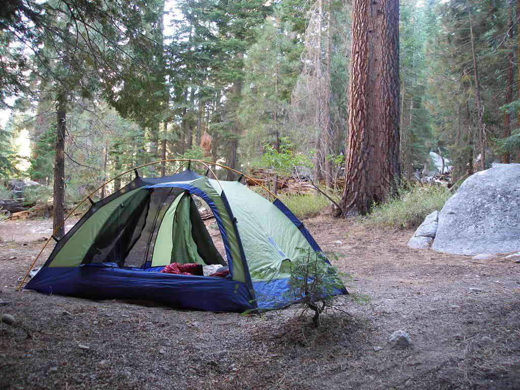 KingsCanyon2007583.jpg