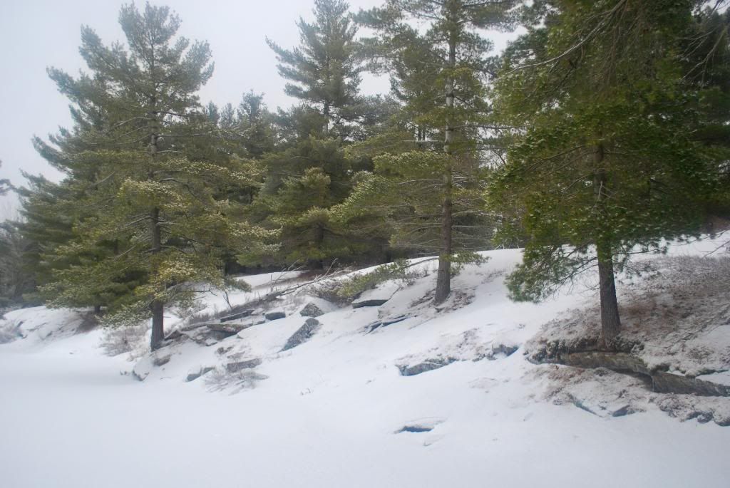 DSC_0060-3.jpg