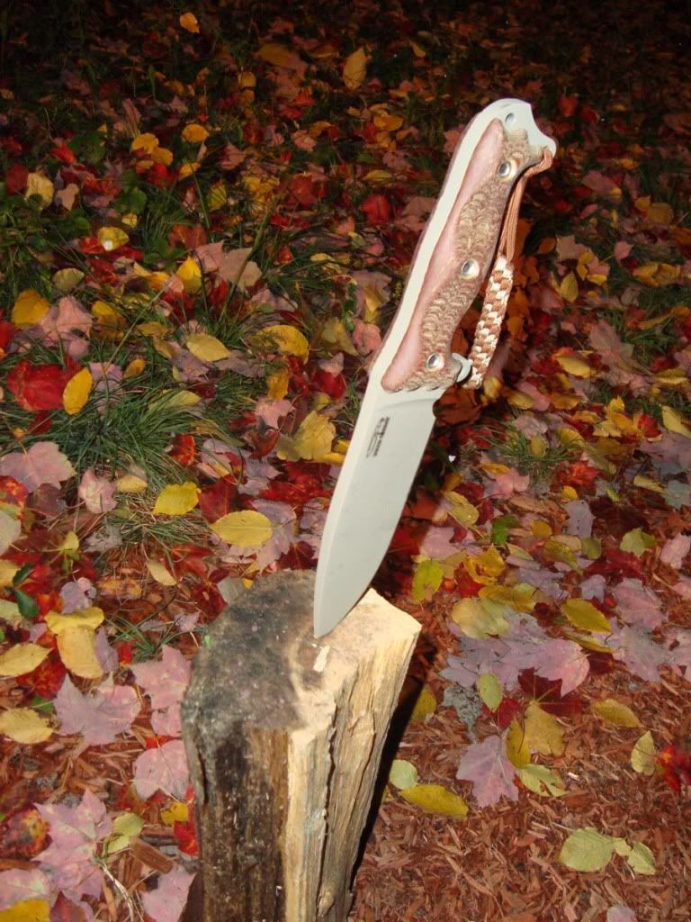 busse4.jpg