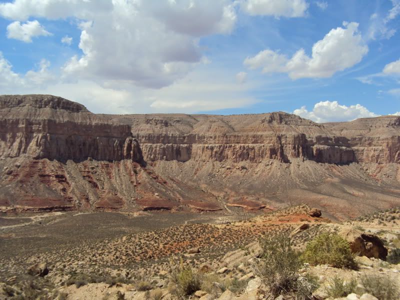 DSC01306.jpg