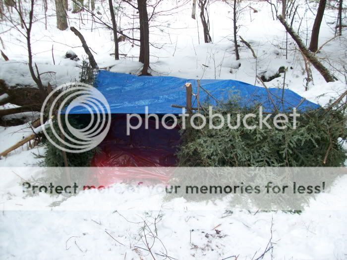 100_1414.jpg