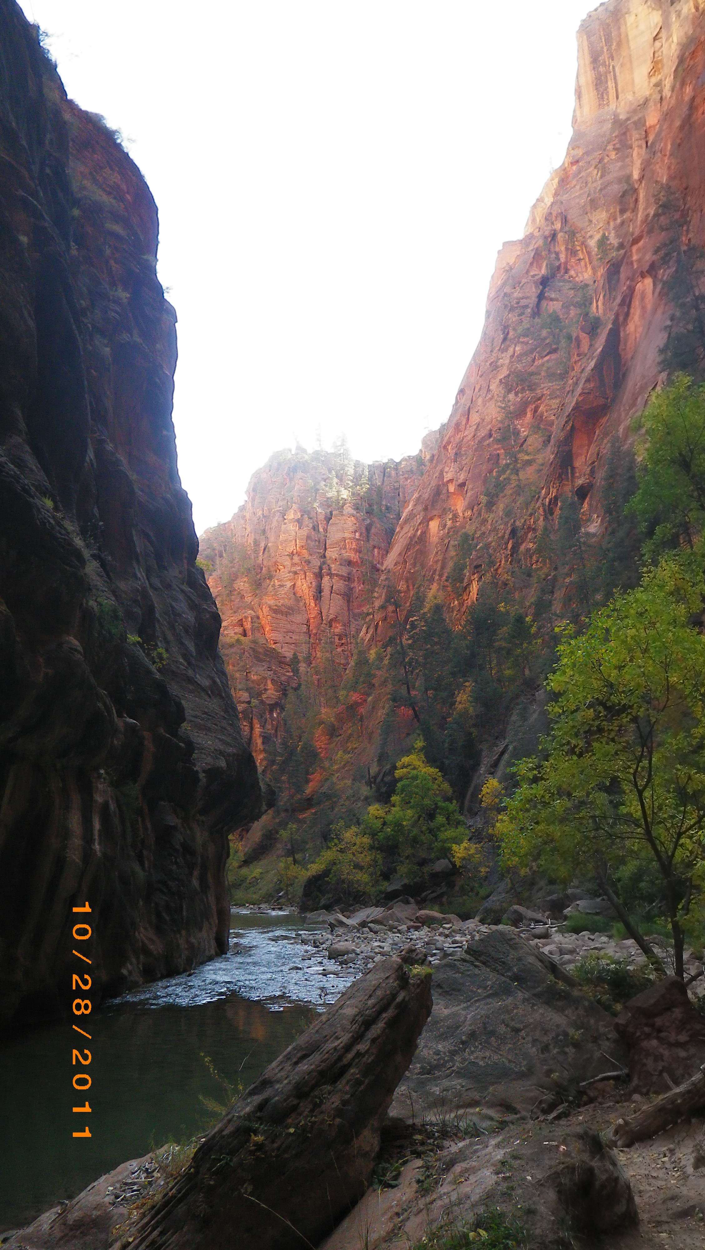 imgp4441x.jpg