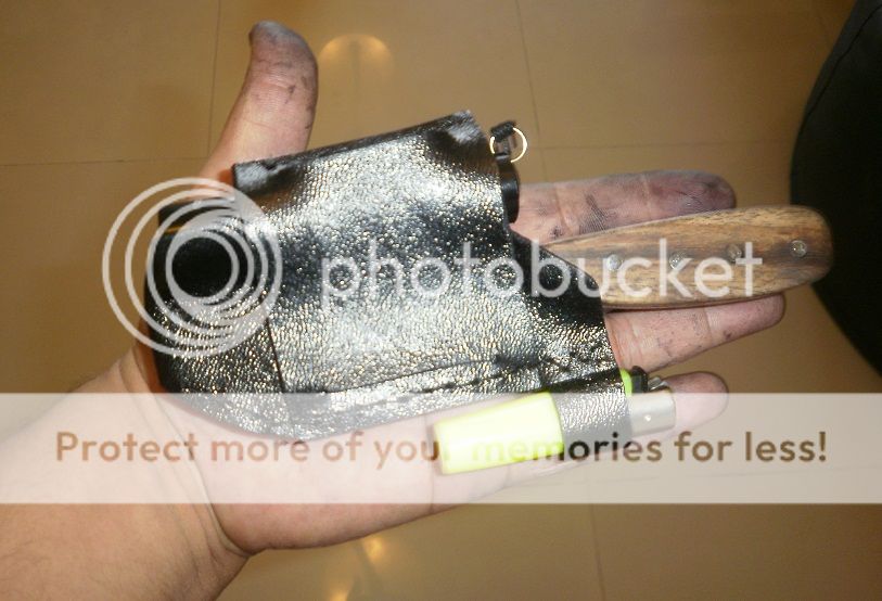 EDC10.jpg