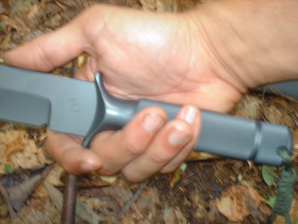 HPIM0763.jpg