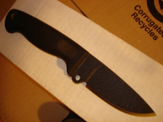 DSC02800.jpg
